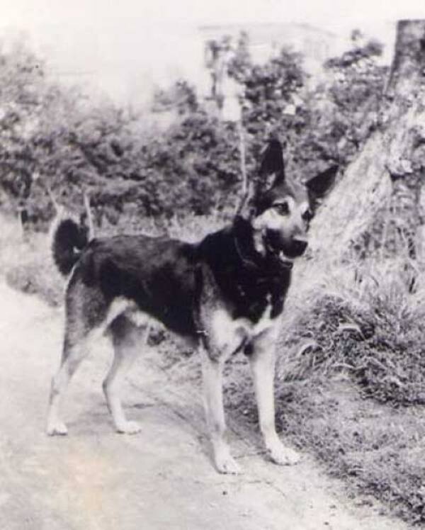 Argo